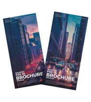Brochures DL (A4 folded to DL)